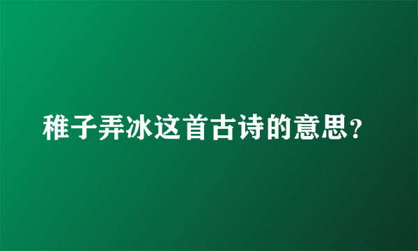 稚子弄冰这首古诗的意思？