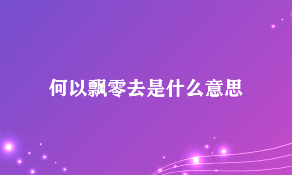 何以飘零去是什么意思