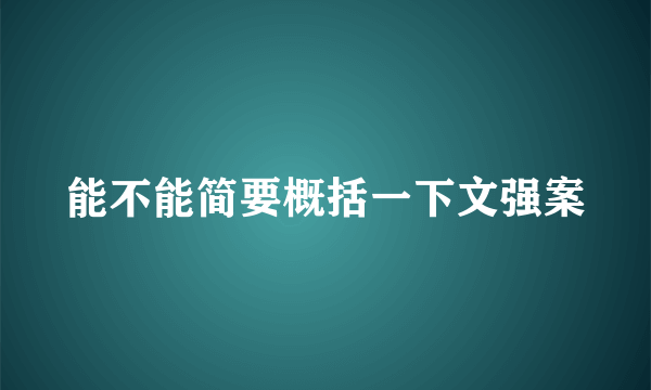 能不能简要概括一下文强案