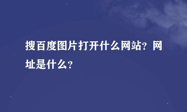 搜百度图片打开什么网站？网址是什么？