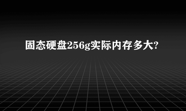 固态硬盘256g实际内存多大?