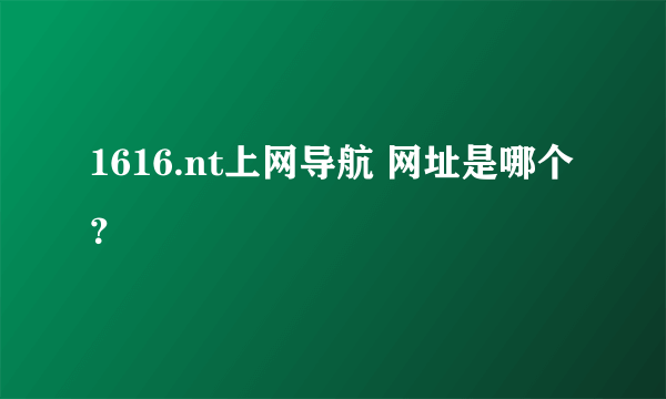 1616.nt上网导航 网址是哪个？