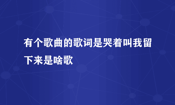 有个歌曲的歌词是哭着叫我留下来是啥歌