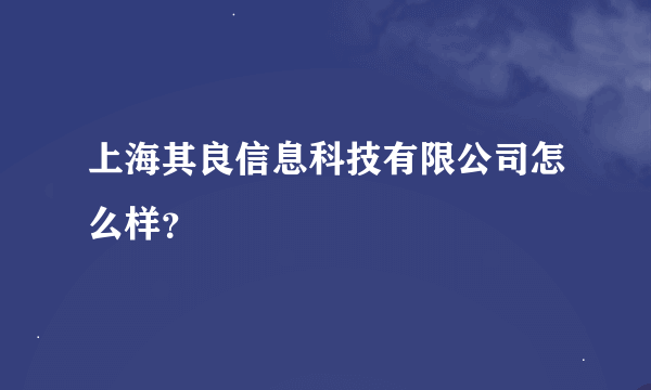 上海其良信息科技有限公司怎么样？