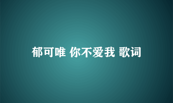 郁可唯 你不爱我 歌词