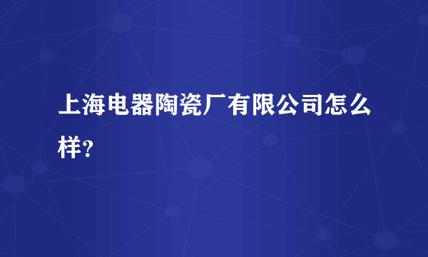 上海电器陶瓷厂有限公司怎么样？