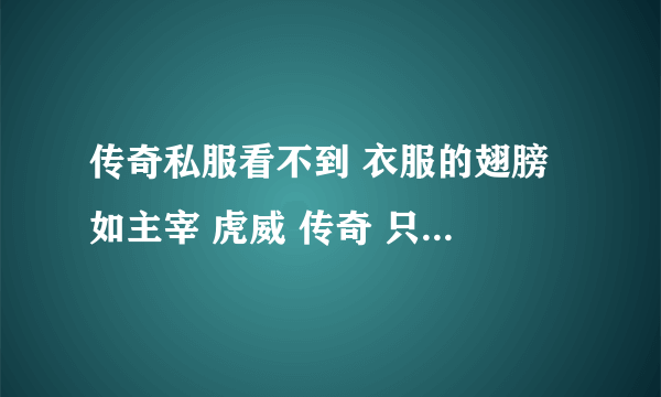 传奇私服看不到 衣服的翅膀 如主宰 虎威 传奇 只能看到衣服 看不到翅膀