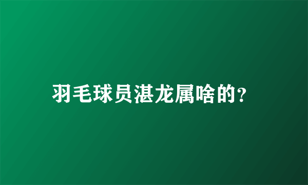 羽毛球员湛龙属啥的？