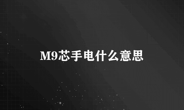 M9芯手电什么意思