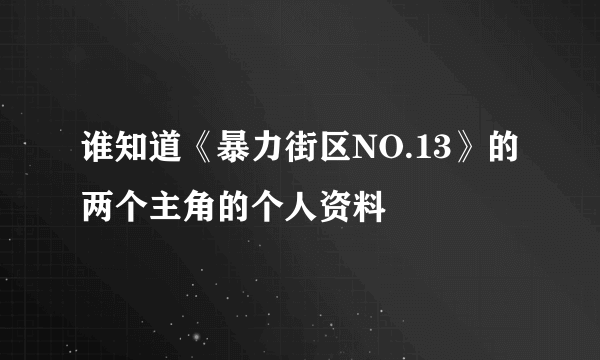 谁知道《暴力街区NO.13》的两个主角的个人资料