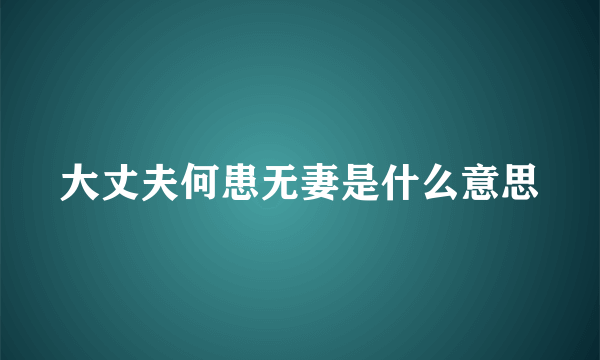 大丈夫何患无妻是什么意思