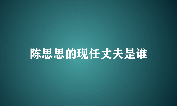 陈思思的现任丈夫是谁