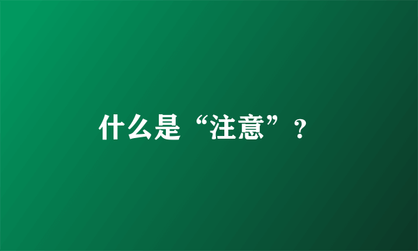 什么是“注意”？