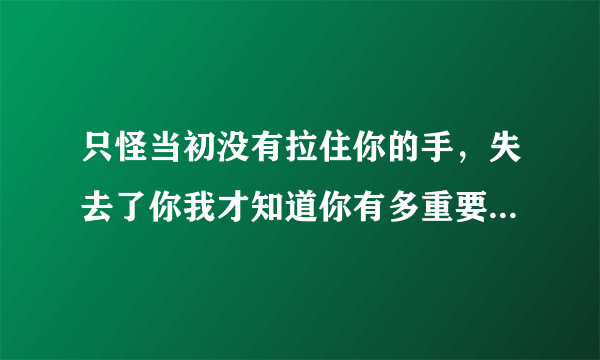 只怪当初没有拉住你的手，失去了你我才知道你有多重要，失去你以后，我的心也好难受(歌词)这首是什么歌