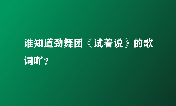 谁知道劲舞团《试着说》的歌词吖？