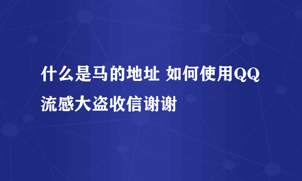 什么是马的地址 如何使用QQ流感大盗收信谢谢