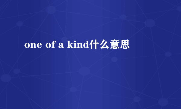 one of a kind什么意思