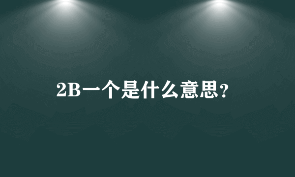 2B一个是什么意思？