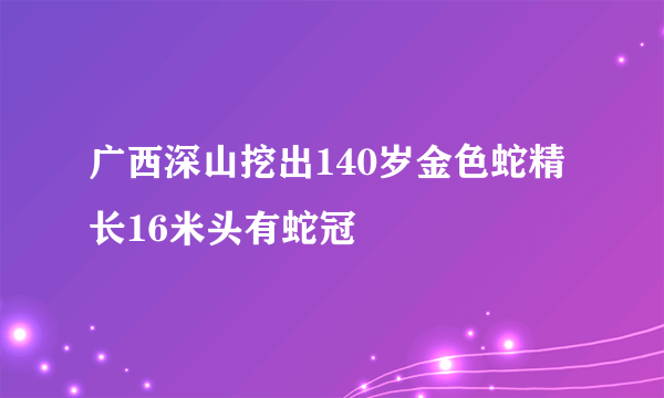 广西深山挖出140岁金色蛇精 长16米头有蛇冠