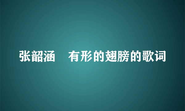 张韶涵　有形的翅膀的歌词