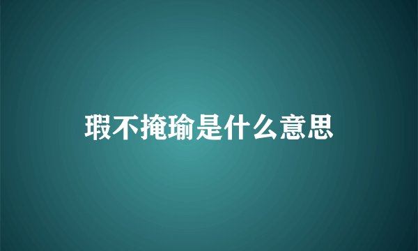 瑕不掩瑜是什么意思