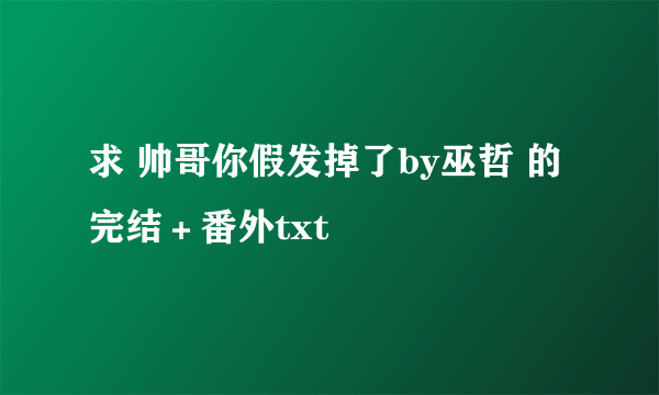 求 帅哥你假发掉了by巫哲 的完结＋番外txt