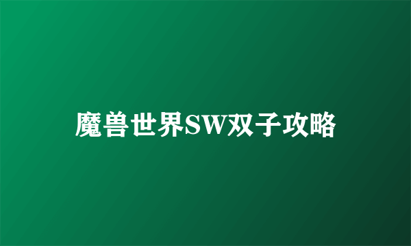 魔兽世界SW双子攻略