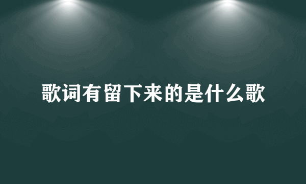 歌词有留下来的是什么歌