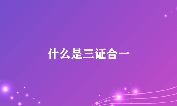 什么是三证合一