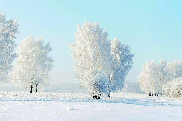 晚来天欲雪,能饮一杯无。相似的句子