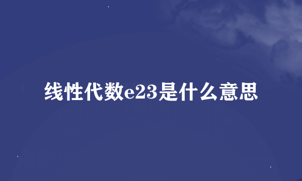 线性代数e23是什么意思