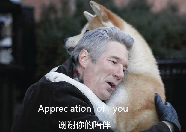 Appreciation 是什么意思啊？