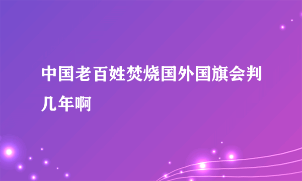 中国老百姓焚烧国外国旗会判几年啊