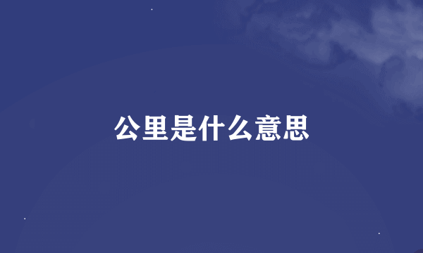 公里是什么意思