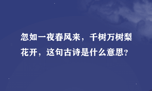 忽如一夜春风来，千树万树梨花开，这句古诗是什么意思？