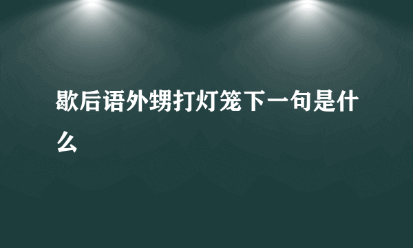 歇后语外甥打灯笼下一句是什么