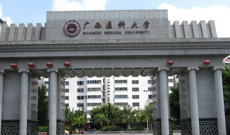 广西有多少所大学？