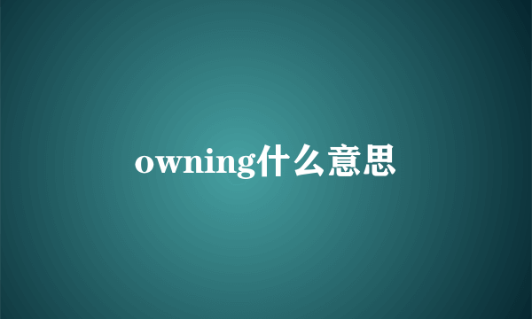 owning什么意思