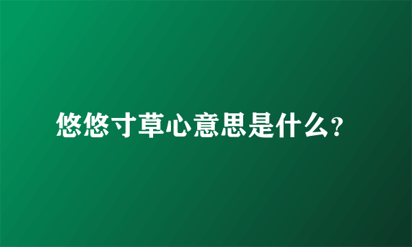 悠悠寸草心意思是什么？