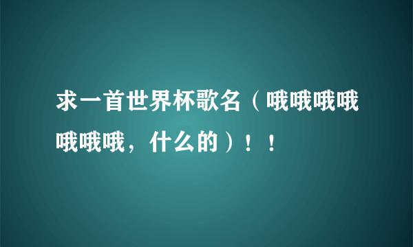 求一首世界杯歌名（哦哦哦哦哦哦哦，什么的）！！