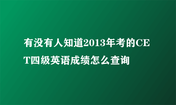 有没有人知道2013年考的CET四级英语成绩怎么查询