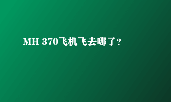 MH 370飞机飞去哪了？