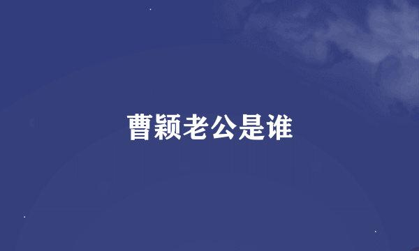 曹颖老公是谁