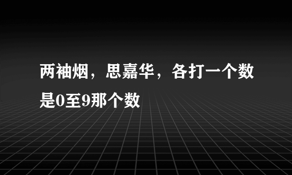 两袖烟，思嘉华，各打一个数是0至9那个数