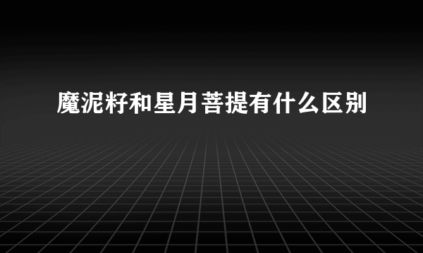 魔泥籽和星月菩提有什么区别