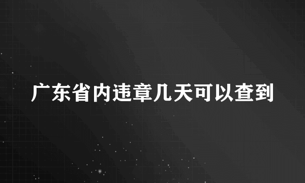 广东省内违章几天可以查到