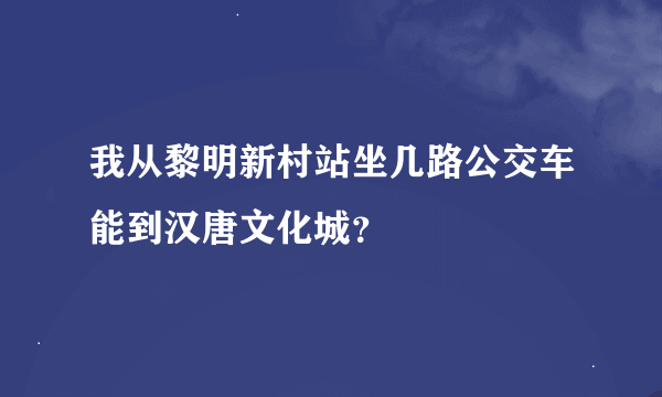 我从黎明新村站坐几路公交车能到汉唐文化城？