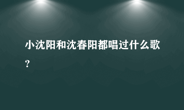 小沈阳和沈春阳都唱过什么歌？