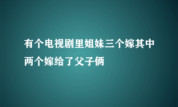 有个电视剧里姐妹三个嫁其中两个嫁给了父子俩