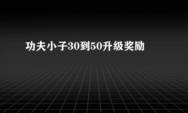 功夫小子30到50升级奖励